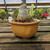 Yellow Glazed Japanese Bonsai Pot