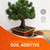 Ho Yoku Red Lava Rock (Scoria) – Clean Bonsai Soil Aggregate for Drainage & Texture