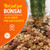 Ho Yoku Red Lava Rock (Scoria) – Clean Bonsai Soil Aggregate for Drainage & Texture