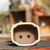 Glazed (cream) Japanese Bonsai Pot