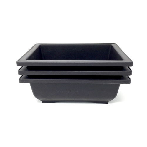 Eight Inch Bonsai Training Pots at New England Bonsai Gardens