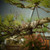 Bonsai Wire for Shaping - Brown Roll
