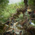 Bonsai Wire for Shaping - Brown Roll