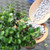 Horticulture American Pumice (18L)