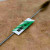 Steel Bristles Bonsai Brush