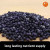 Bonsai Thrive 180: Transform Your Bonsai Garden with Ho Yoku's Powerful 19-5-9 Formula