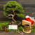 NEBG Old Fashion Paper Gift Certificate — Mailed & Personalized