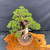 Massive Trunk with Powerful Presence – Jack Hoover Ceramic Pot – No. 15418 – No. 22731