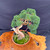 Refined Shimpaku 'kishu' Juniper Bonsai – In a Tokoname Grow Pot No. 22357