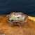 8.5” Round Wood-Fired Handmade Bruce Lenore Pot No. 146