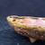 5.5” Oval Wood-Fired Handmade Bruce Lenore Pot No. 151
