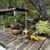 The Bonsai Bot Crew — One-of-a-Kind Reclaimed Metal Art by David Dawson