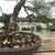 Omakase Japanese Bonsai Fertilizer Pellets - Great for Indoor Bonsai