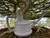 Tinyroots 1-Quart Indoor Watering Can – Small, Gentle, and Perfect for Bonsai