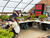 Bonsai Basics II: Styling & Design Workshops for 2026