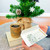 NEBG Old Fashion Paper Gift Certificate — Mailed & Personalized