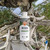 Ho Yoku Jin Seal — Deadwood Whitening Solution (Cosmetic Use Only)