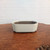 Cream Glazed Bonsai Pot
