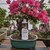 Fall and Winter Fertilizer (0-10-10) - Supports Root Health