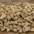 Ho Yoku Japanese Pumice – Imported Bonsai Soil Aggregate for Drainage & Root Health