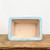 12" Yixing Bonsai Pot (#1829a)