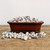 Horticulture American Pumice (18L)