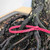 Formal Upright Itoiagwa Shimpaku Juniper (No. 15504)