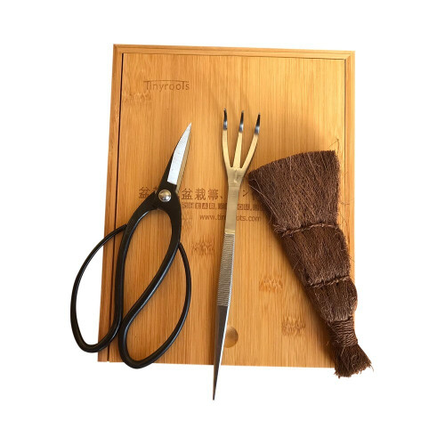 Tinyroots  Beginner Bonsai Tool Kit