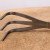 Tinyroots Root Rake & Tweezers Tool