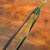 Yoshiaki Pine Needle Tweezers (Straight or Curved)
