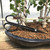 Carbon Steel Long Bonsai Shear - Known as the Hasami Shear, They're great For Defoliating or Cutting Smaller branches With Ease.
